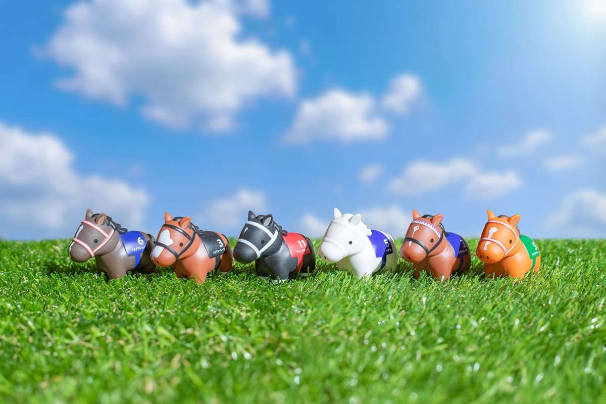 サラブレッドコレクション【公式】 (@sarakore_info) / Posts / X