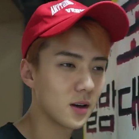 mohan soleh tweet media