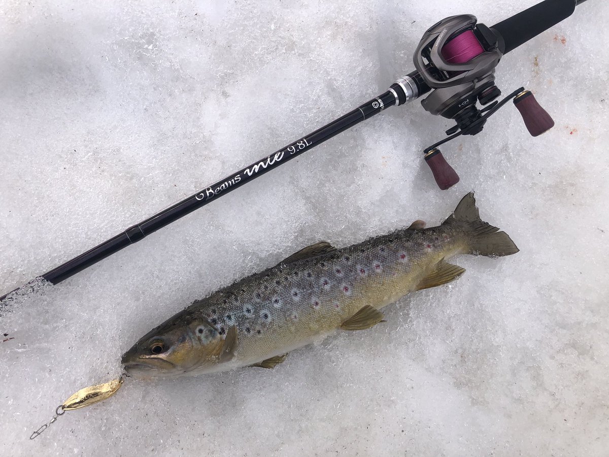 zisakukebari59's tweet photo. 仕事上がりにちょい釣り🎣今回はBeams Inte9.8LとScorpion BFSの組み合わせ✨
思ったほど雪代が出てなくて水質は超クリア💧かなりシビアだったけどあの手この手で何とかブラウン3匹😆（1匹オートリリース）
#北海道 #渓流ベイト #Fishman #Beams #inte98L #SHIMANO #Scorpion #BFS #ブラウントラウト https://t.co/ONWRq8DUcQ