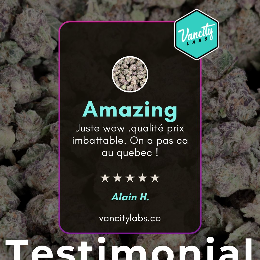 vancitylabsco's tweet image. Client Review ⭐️

“Amazing! Just wow. Unbeatable quality for the price. We don’t have this in Quebec!” – Alain H.

We’re proud to deliver value that truly stands out. Thank you for your trust and support! 🙌🔥

🌐 vancitylabs.co/product/frumpz…

#ClientReview #CustomerLove #TopQuality