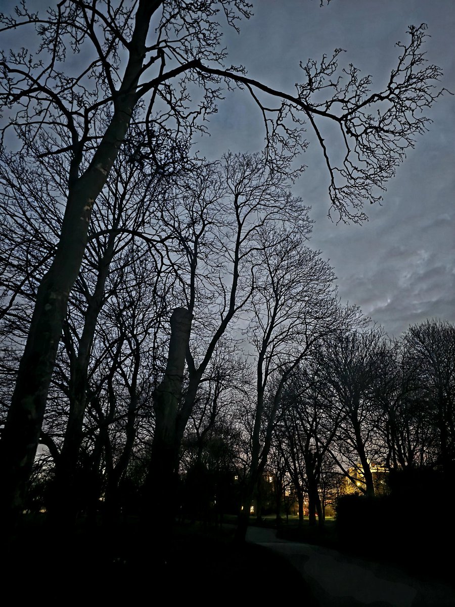 CraigRGNDem's tweet image. 5 mile temp run in Leeds while here for work.

 Nice wee sunrise 🏃🏻‍♂️🙂

#Running #Strava #TempoRun #Leeds #Sunrise