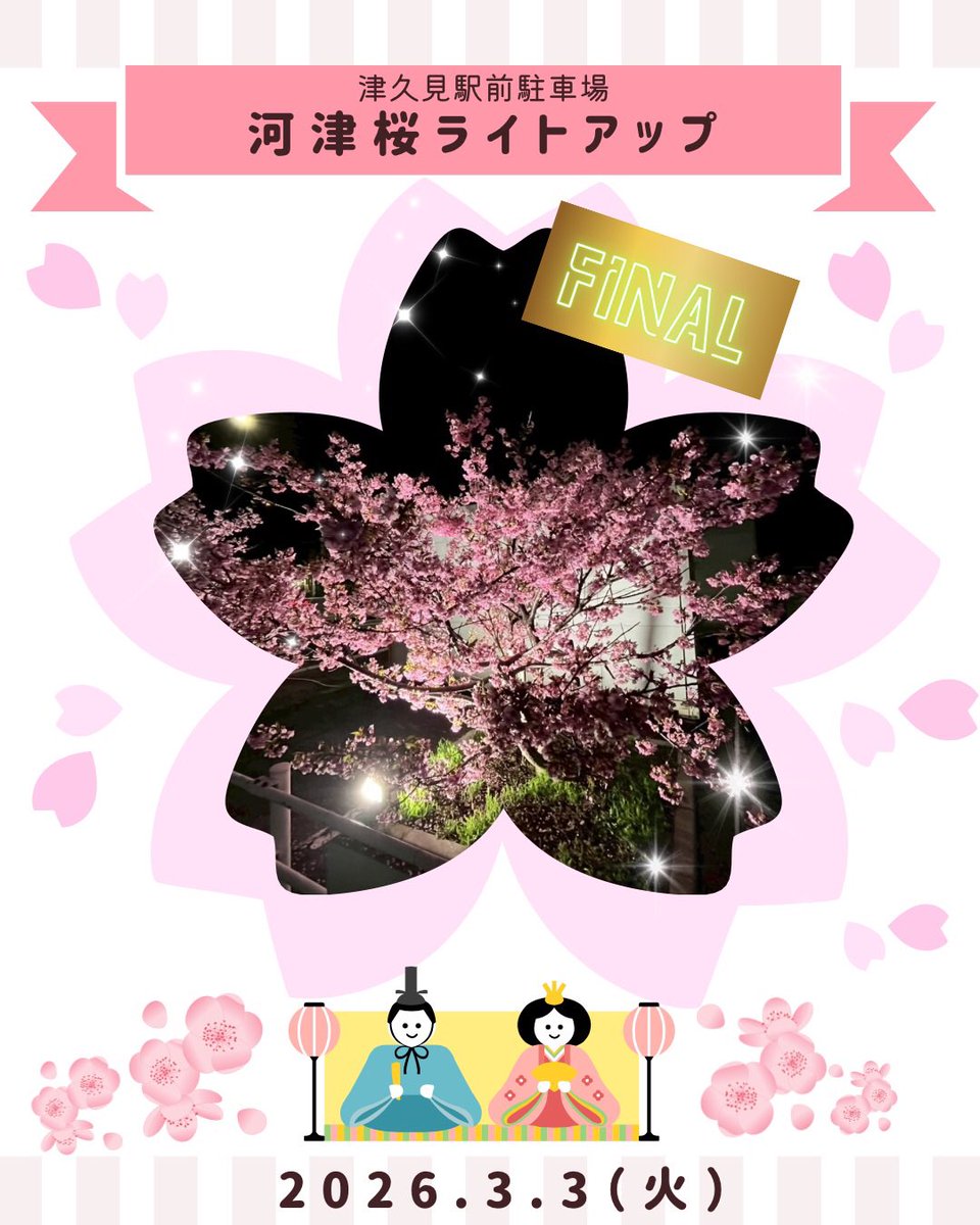 河津桜ライトアップ は本日が最終日です🌸 期間中はたくさんのご来場