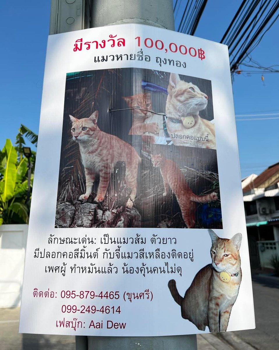 ประชาชนเบียร์ tweet media