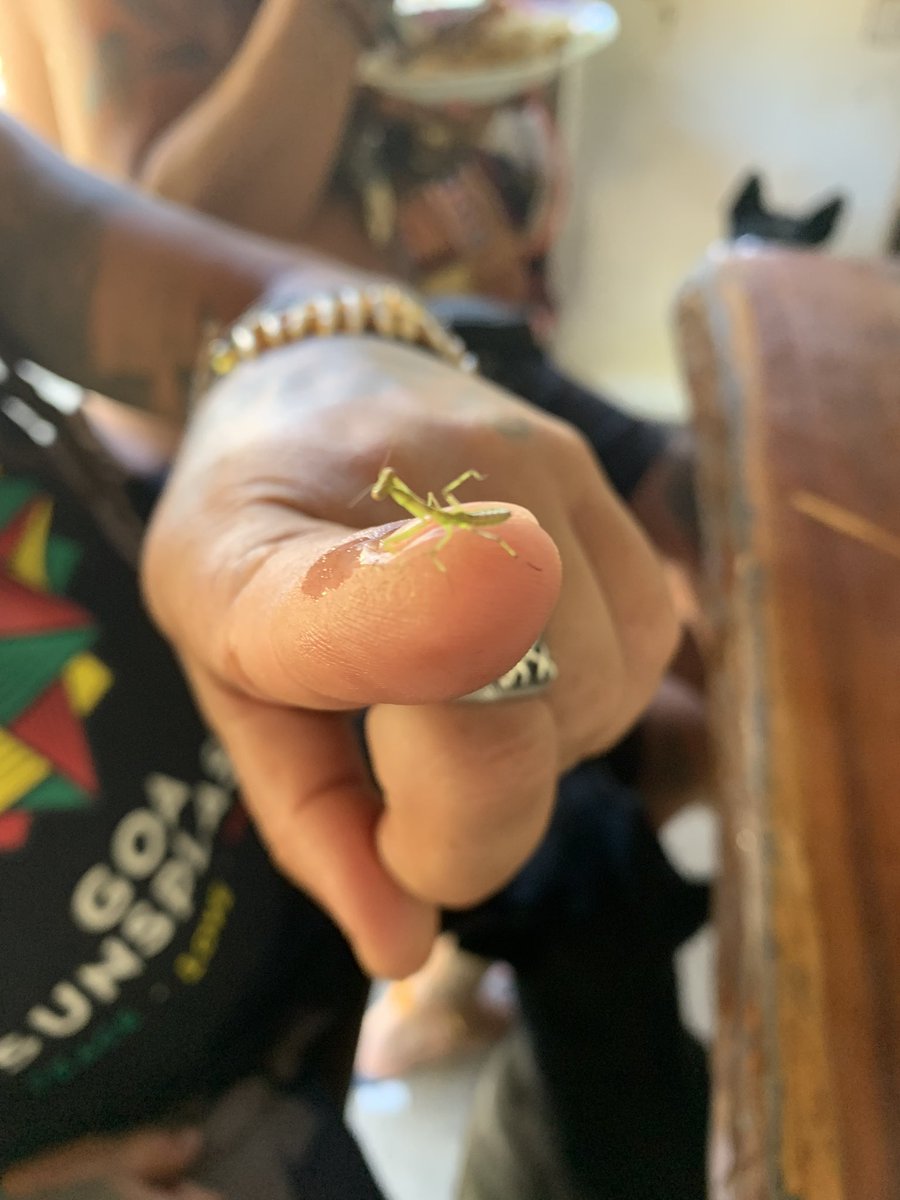 mankensensei's tweet photo. おはようございます
今朝のお寝覚めいかがでしょうか？
タイ北部地球の小さな宝物パーイ滞在
2週間経ちました
シャンバラ祭が終わり2週間
つまりタイ北部に現在1ヶ月滞在しています
私はパーイの街から更に山奥におります
noteに首長族集落で半日過ごしたお話など多数の記事を投稿しました
ぜひご笑覧ください
私はあと約1ヶ月（今月いっぱい）パーイに滞在予定です
写真はゴア経由の私のアマゾンヒッピーブラザー好きたち
