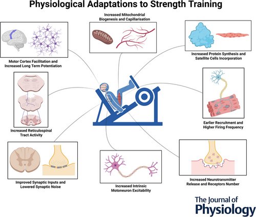 Strength For Life tweet media