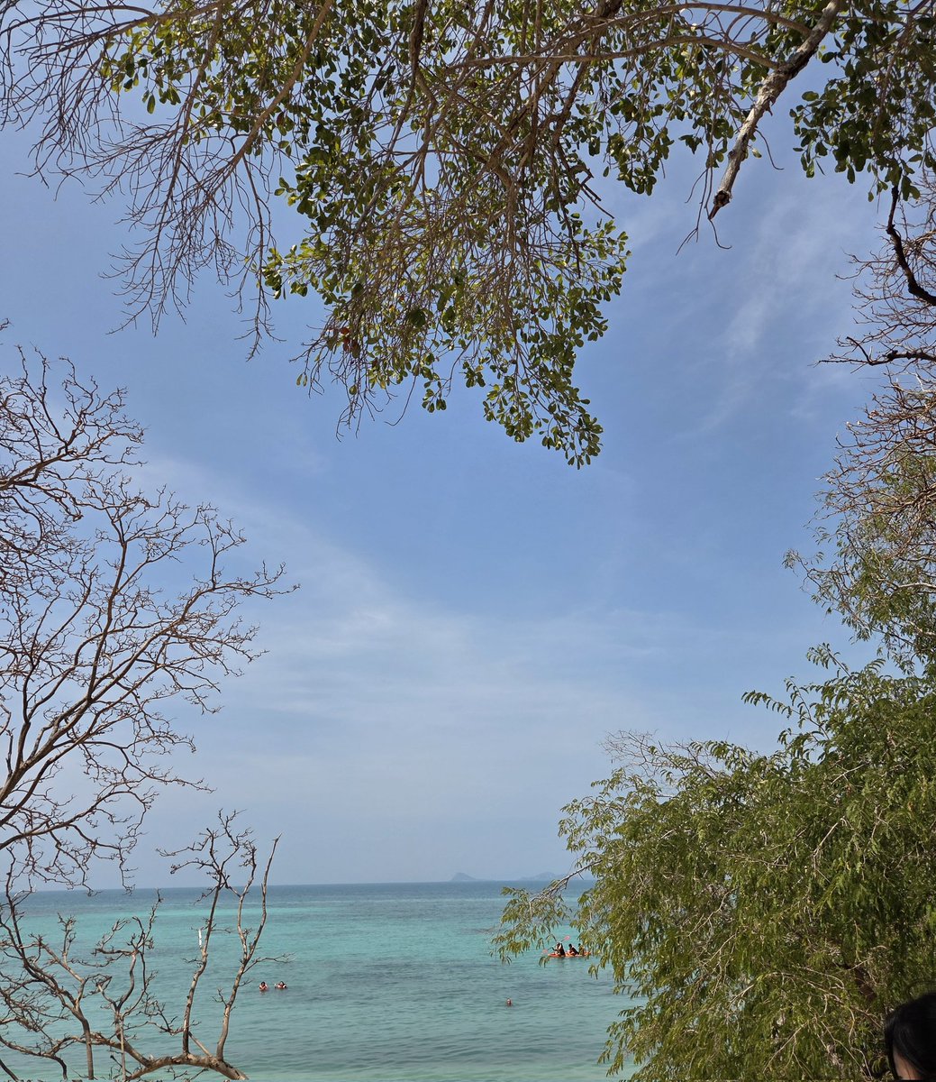 zzmmoo01's tweet photo. ที่หมอให้ผมมาทะเล ผมมาแล้วนะ 🏝 https://t.co/HdFDgPbryD