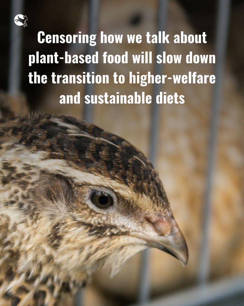 CIWF_EU's tweet photo. This week, EU lawmakers will resume discussions on whether to censor how to talk about plant-based food... we’d rather they stop spreading confusion.
There’s #NoConfusion.
#YesVeggieBurger https://t.co/kOZPQfSHhS