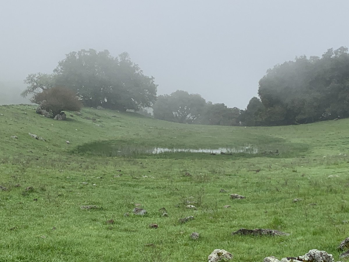 Rich Koehler tweet media