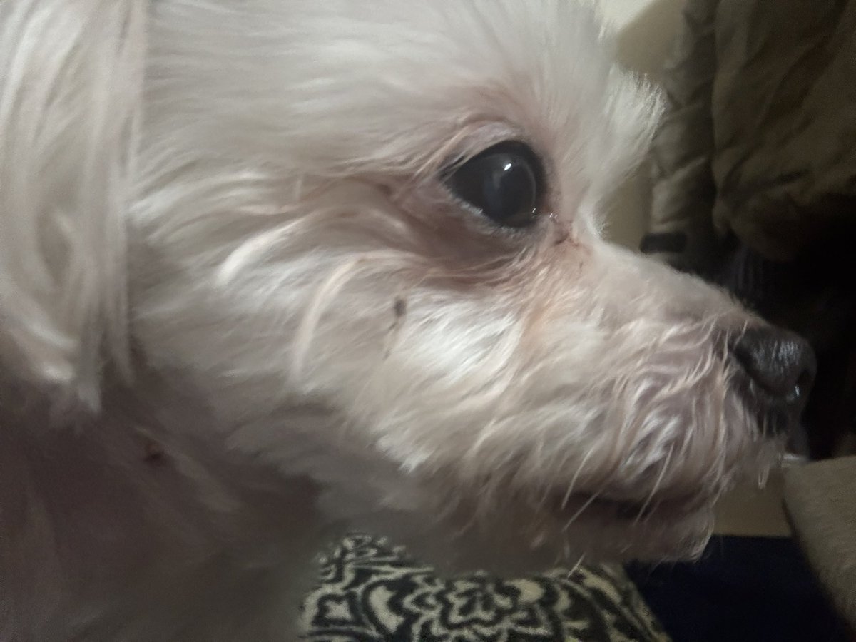 さにー🌻 tweet media