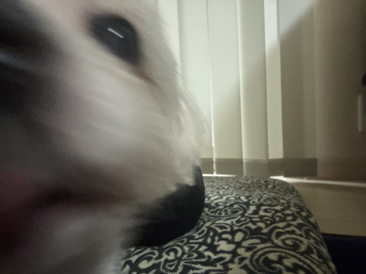 さにー🌻 tweet media