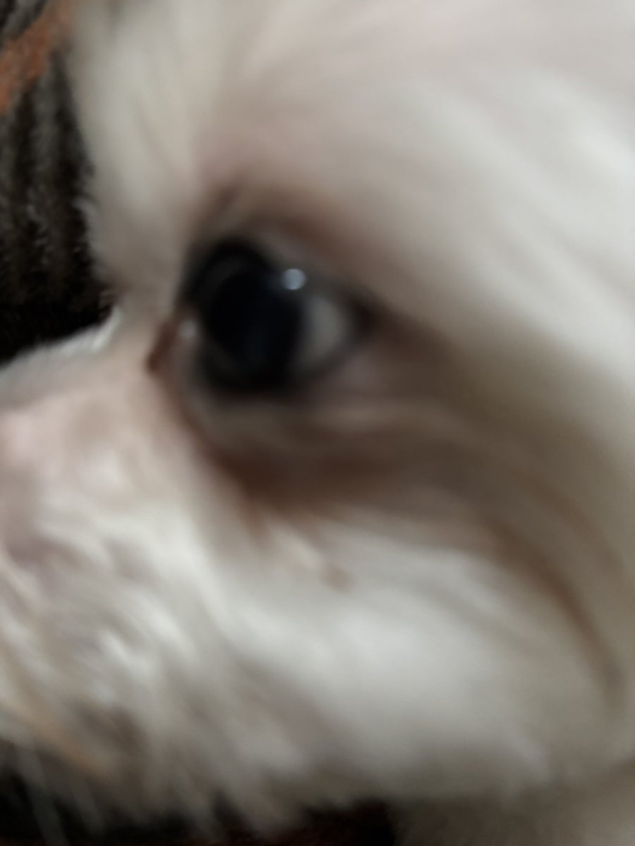 さにー🌻 tweet media