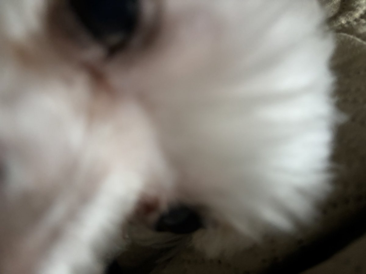 さにー🌻 tweet media