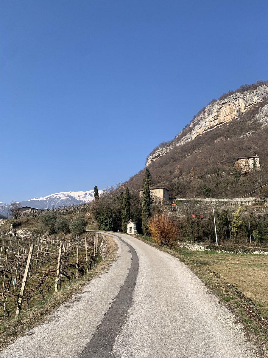 MichGPS's tweet image. Asfalto non perfetto, vigneti a destra e sinistra e la strada che sale, le 3 componenti che adoro….#Lavorounapassione #rilievigps #bikeguide