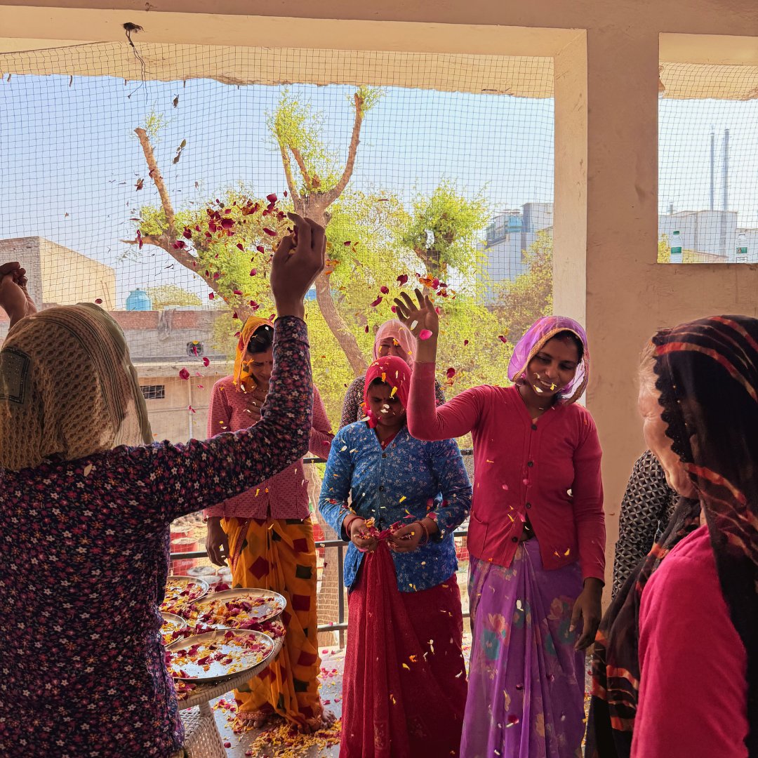 Lioness Tile tweet media