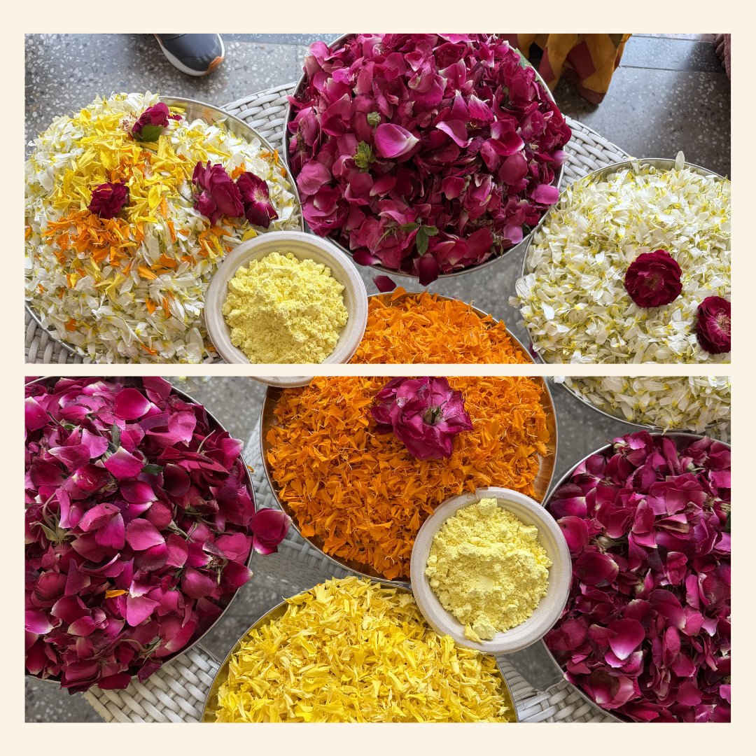 Lioness Tile tweet media