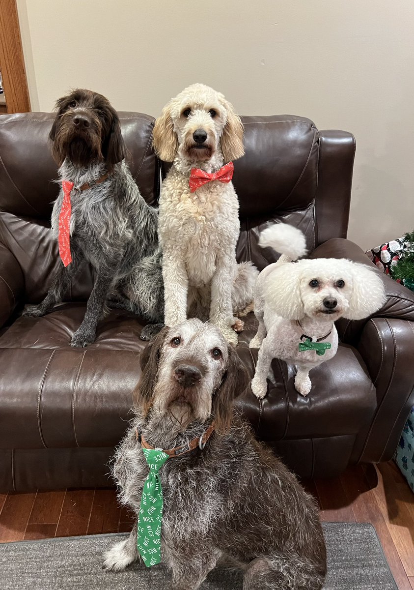 Sarah Kock tweet media