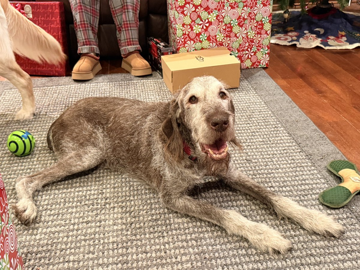 Sarah Kock tweet media