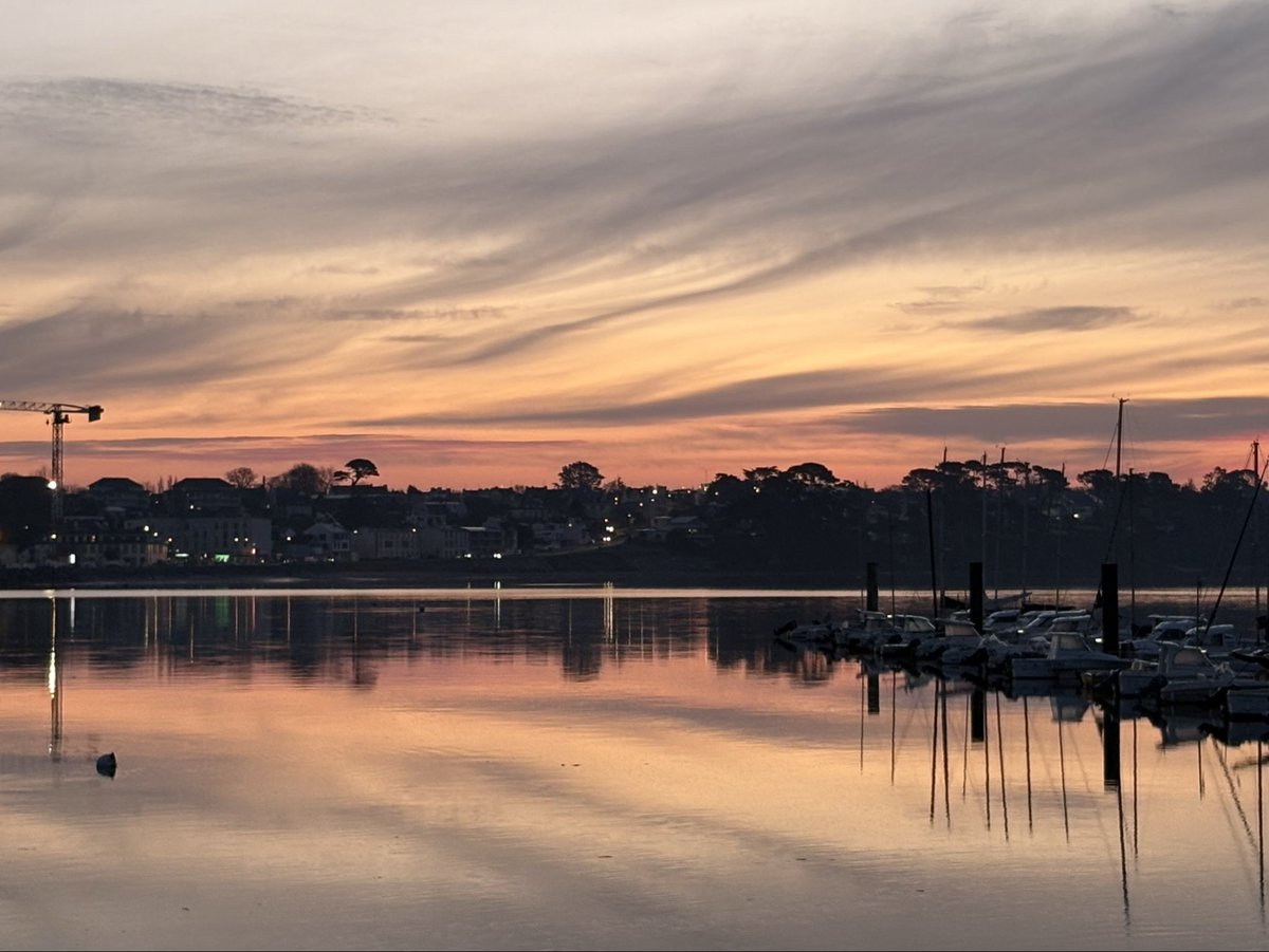 Marie-Laure Croguennec tweet media