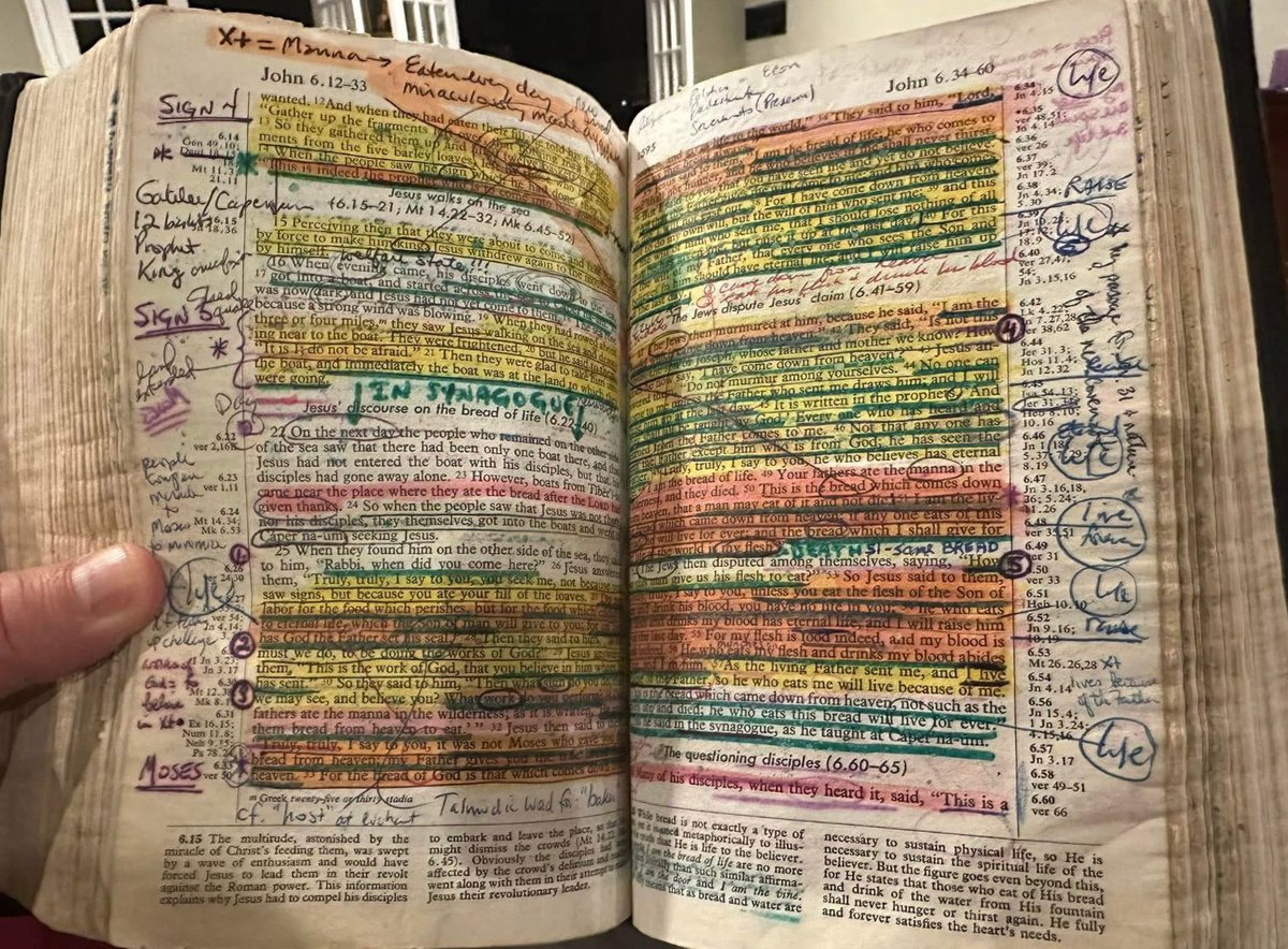 LaBiblesurlenet's tweet photo. La Bible est le livre le plus lu et le plus vendu de toute l'histoire de l'humanité. https://t.co/bpBBHZLXIr