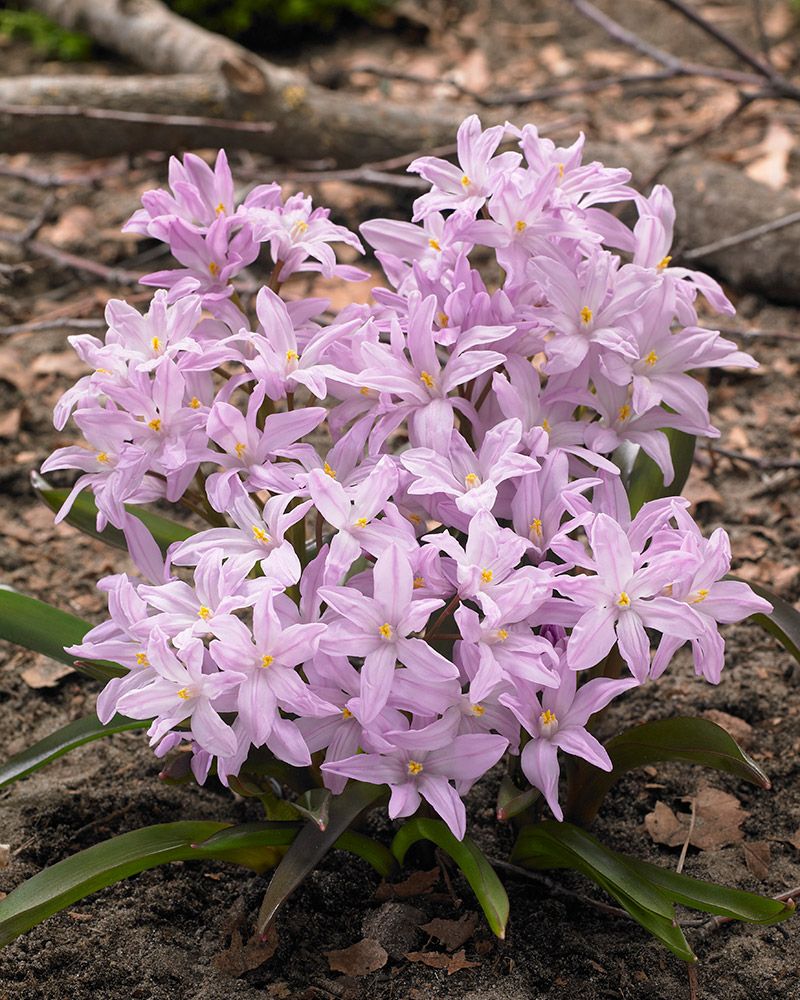 J.Johannes.M tweet media