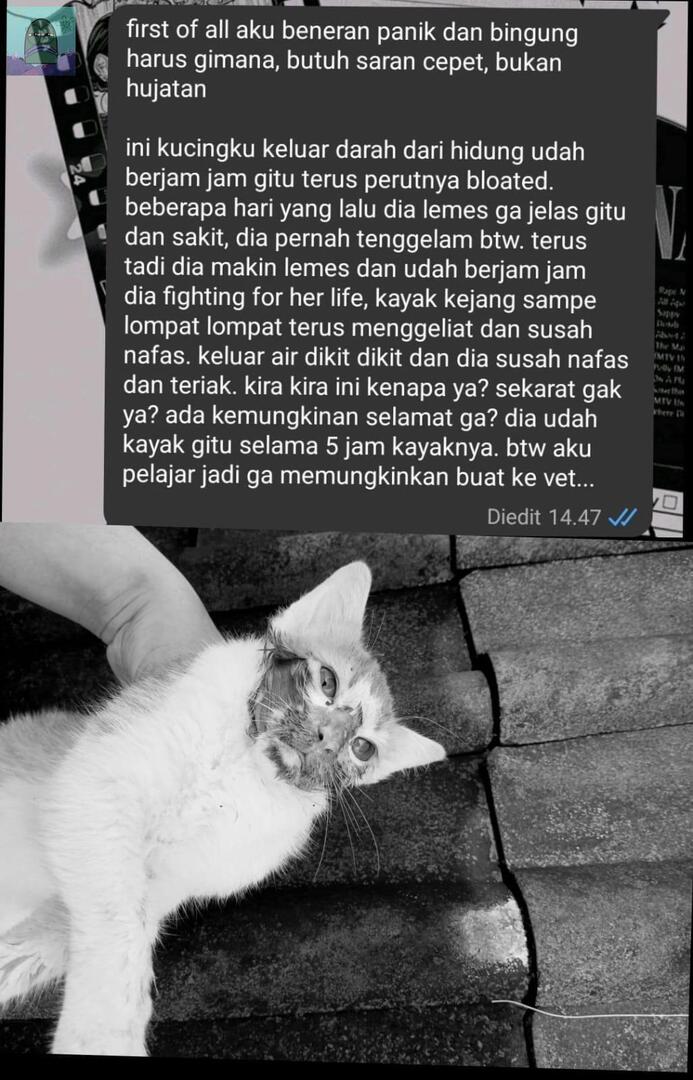 Tanyarl 💚 tweet media