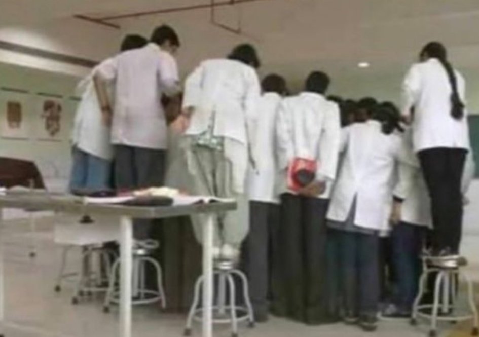 No one,First year Medical Student during practical