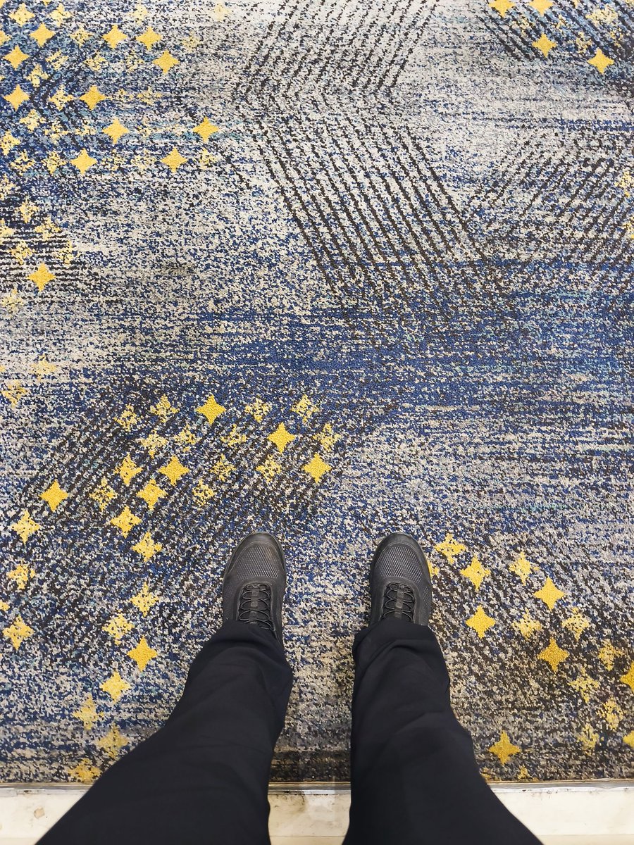 TommyTesto tweet media