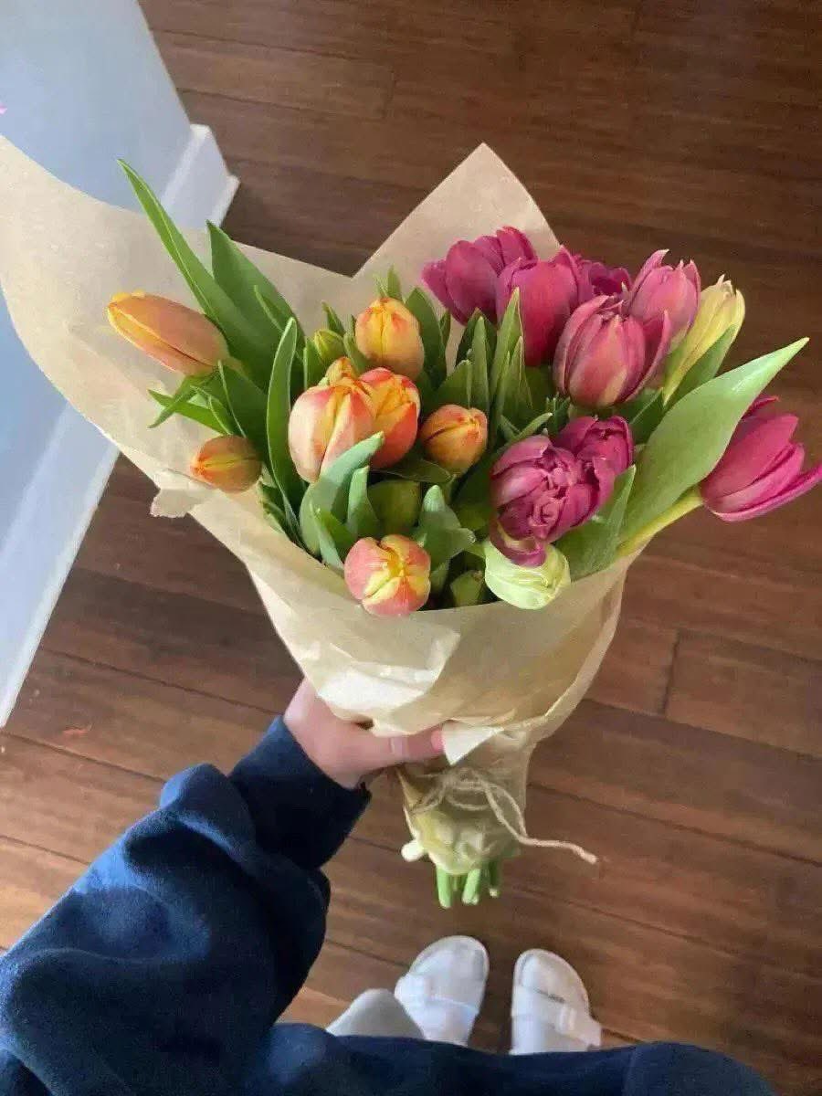 Isla_McKayx's tweet photo. — Dear Algorithm,
Please show these photos to people who will appreciate flowers 🌸✨ https://t.co/fRZ6SRuh29
