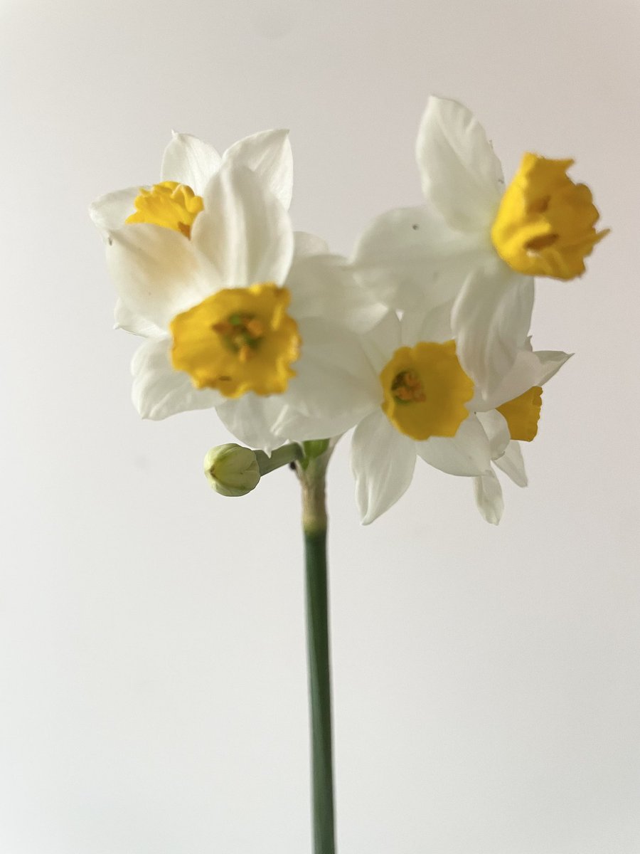 Stifyn Parri 🌈 tweet media