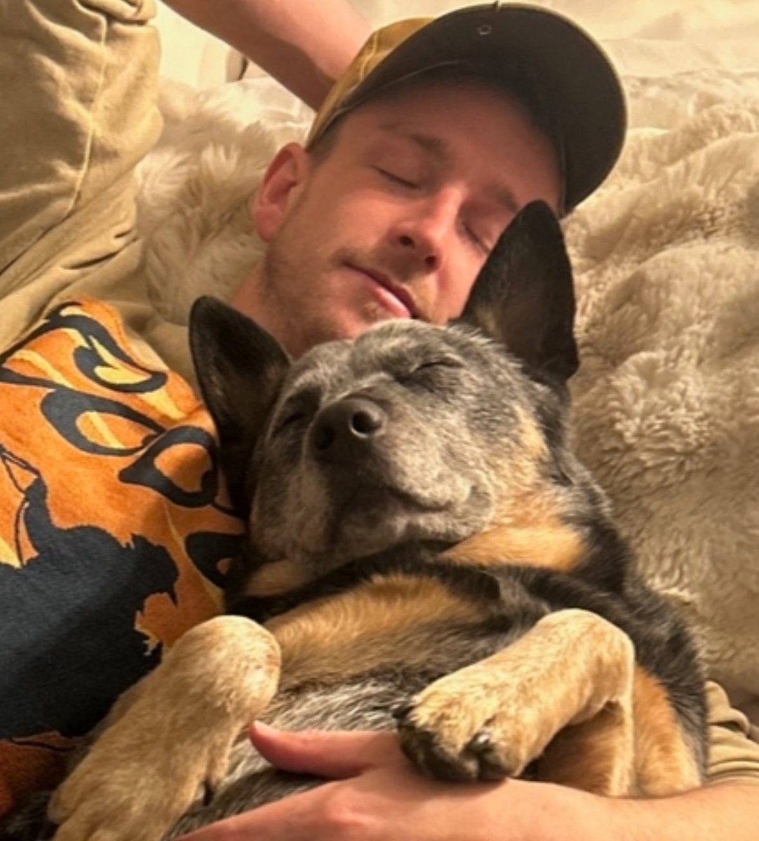 King Trout tweet media