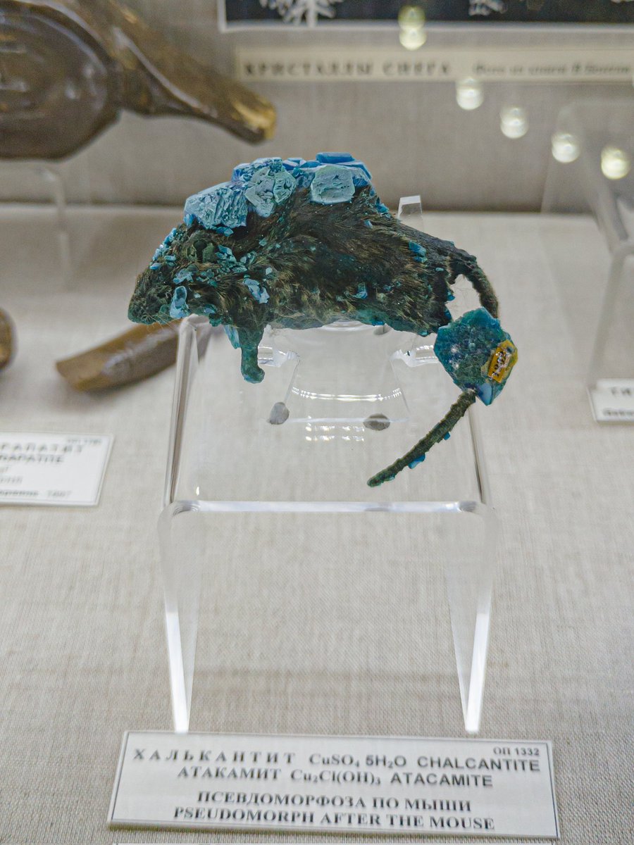 TechieSxC tweet media