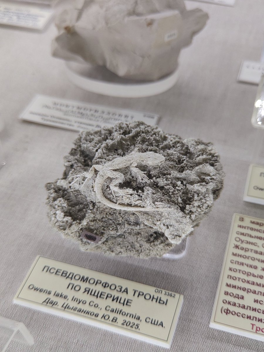 TechieSxC tweet media