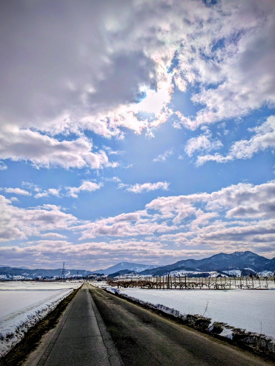 弘前安原〜清水森から東奥義塾高校へ繋がる一本道の農道！現段階👌🚴🚴🚵

チャリンコ部隊の皆さん！
準備オッケー？😄
新入生チャリンコ部隊予定の皆さん準備オッケー？🎉

まもなく始まるザマスよ！🌱🌸🚴