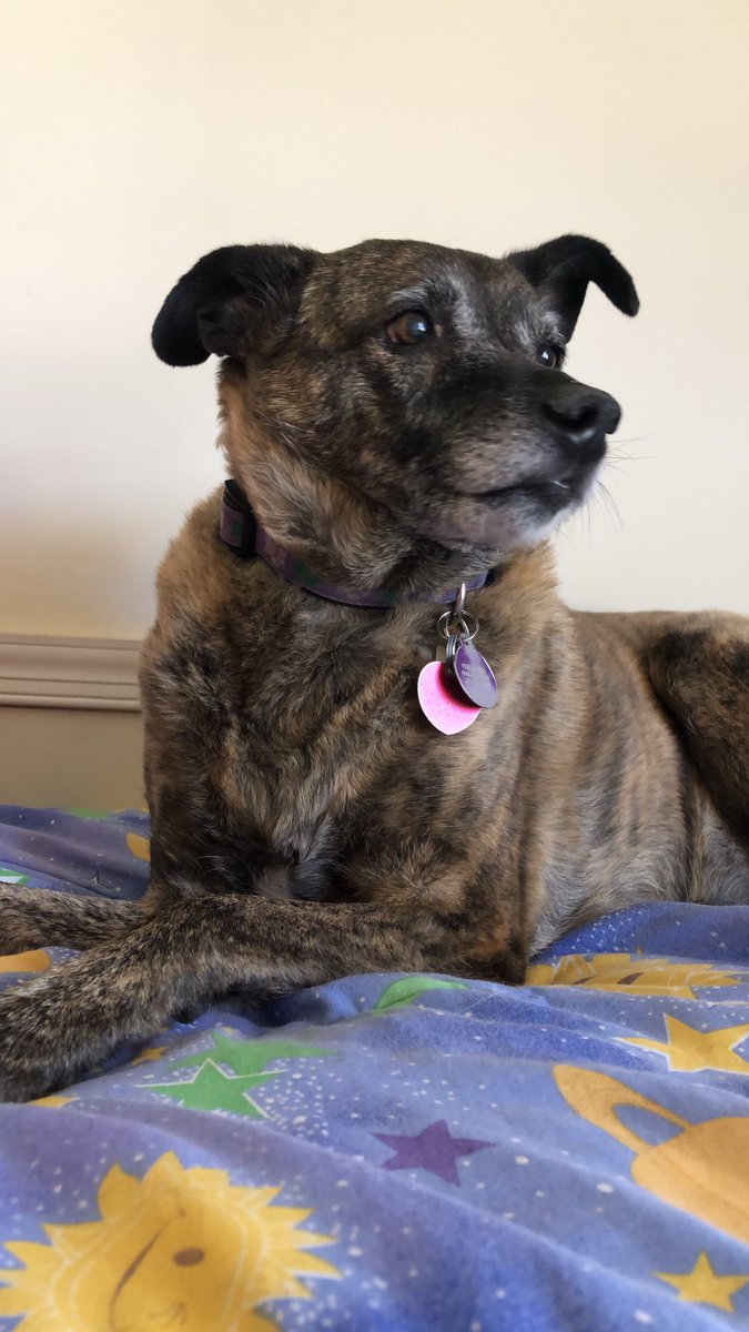 Ed McQue tweet media