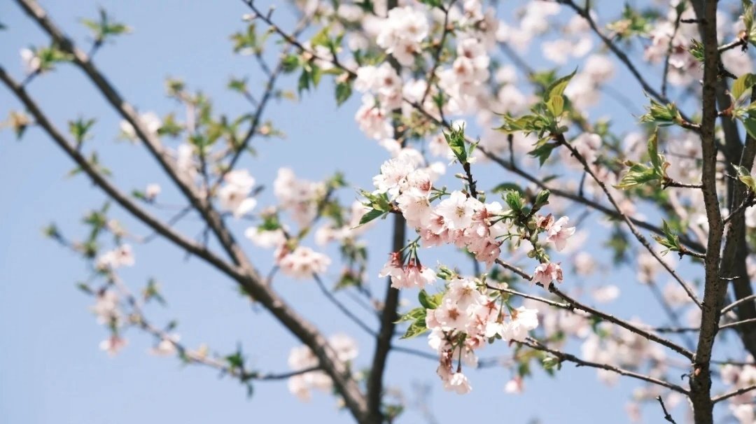 新蕉城 (互Fo互赞 (@xnjiochng0593) / Posts / X
