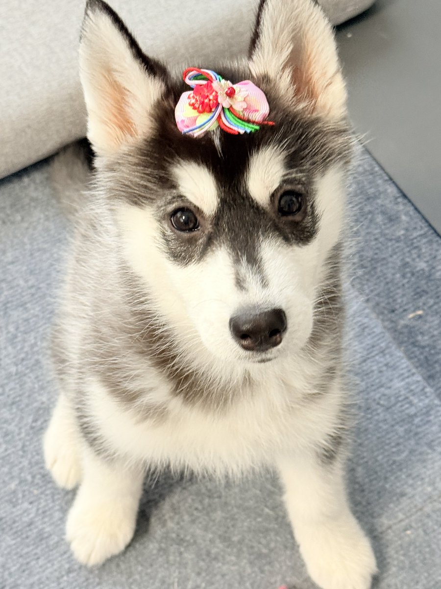 SHION&LU-NA tweet media