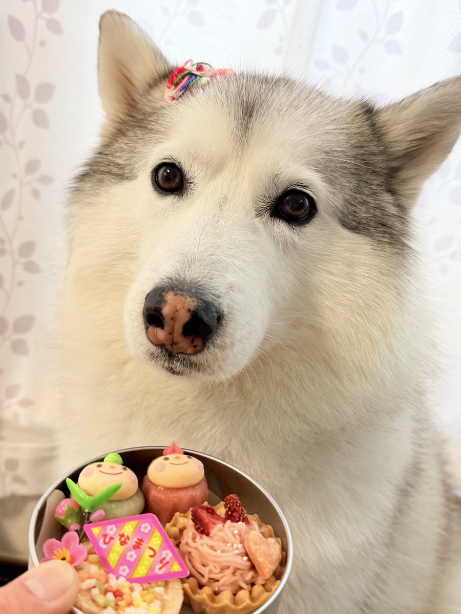 SHION&LU-NA tweet media