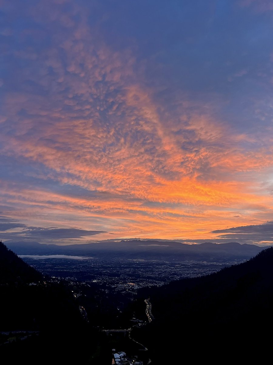 Juan Pablo Morales tweet media