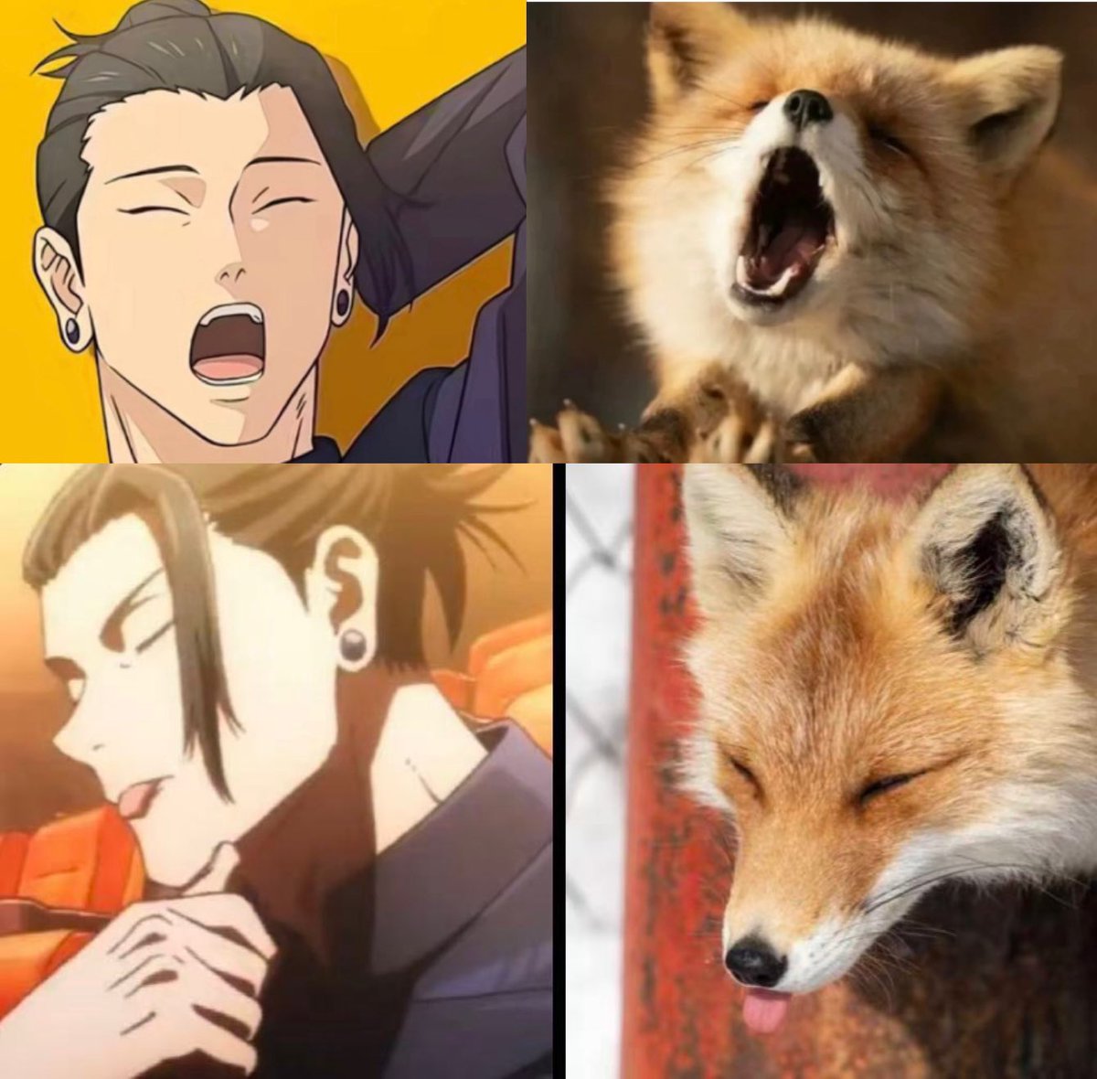 夏油杰是狐狸的证据
#五夏 #satosugu