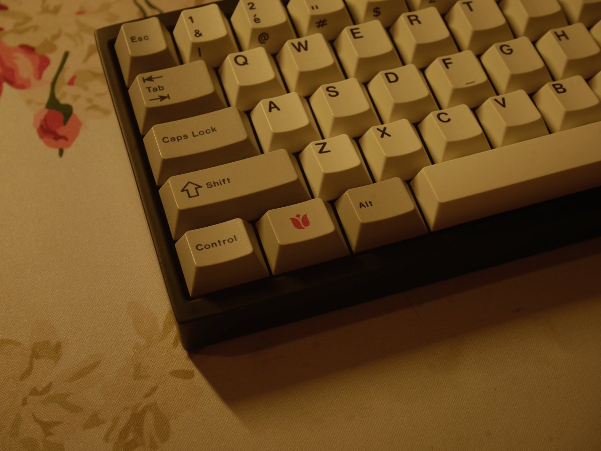hakuriDX's tweet photo. "花沢"  

[#CannonKeys Bakeneko65] https://t.co/lhGM6y2TJ6
