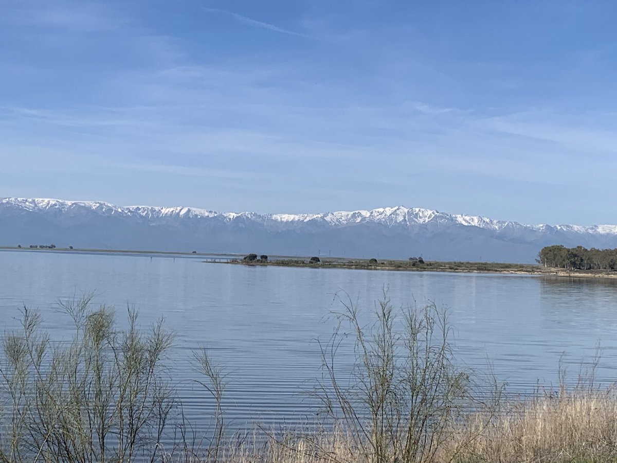 Juan Carlos, El Pera tweet media