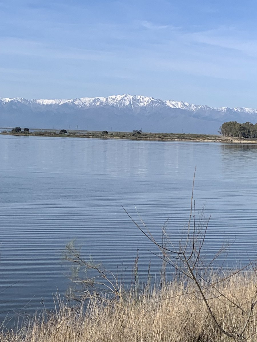 Juan Carlos, El Pera tweet media