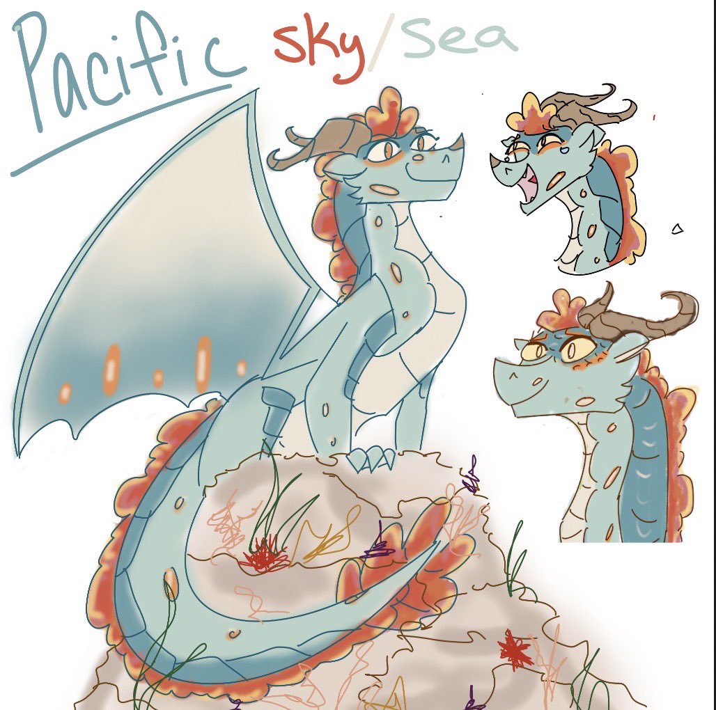 Pacific 🐋 tweet media