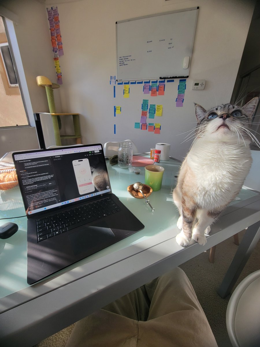 andyl_dev's tweet photo. Day 8 of building in public to $2k MRR ⚔️

Not gonna lie… today was chaotic 😭

Tried to lock in on an AR skin care app! Kept tweaking ideas, thinking about scalability, subscriptions, all that.

But my cats had other plans 😭 (@rork
yall are too famous, its attracting my pets) 

Every time I opened my laptop one of them was walking across the keyboard or sitting on it like they pay rent.

Lowkey made me think again about building something around cats because clearly they run my life anyway.

Still figuring out what’s actually scalable vs just cool. But right now I'm starting a Skincare app called Glowy (subject to change later!)

But we move. Locking in (when the cats allow it). 🐈💻