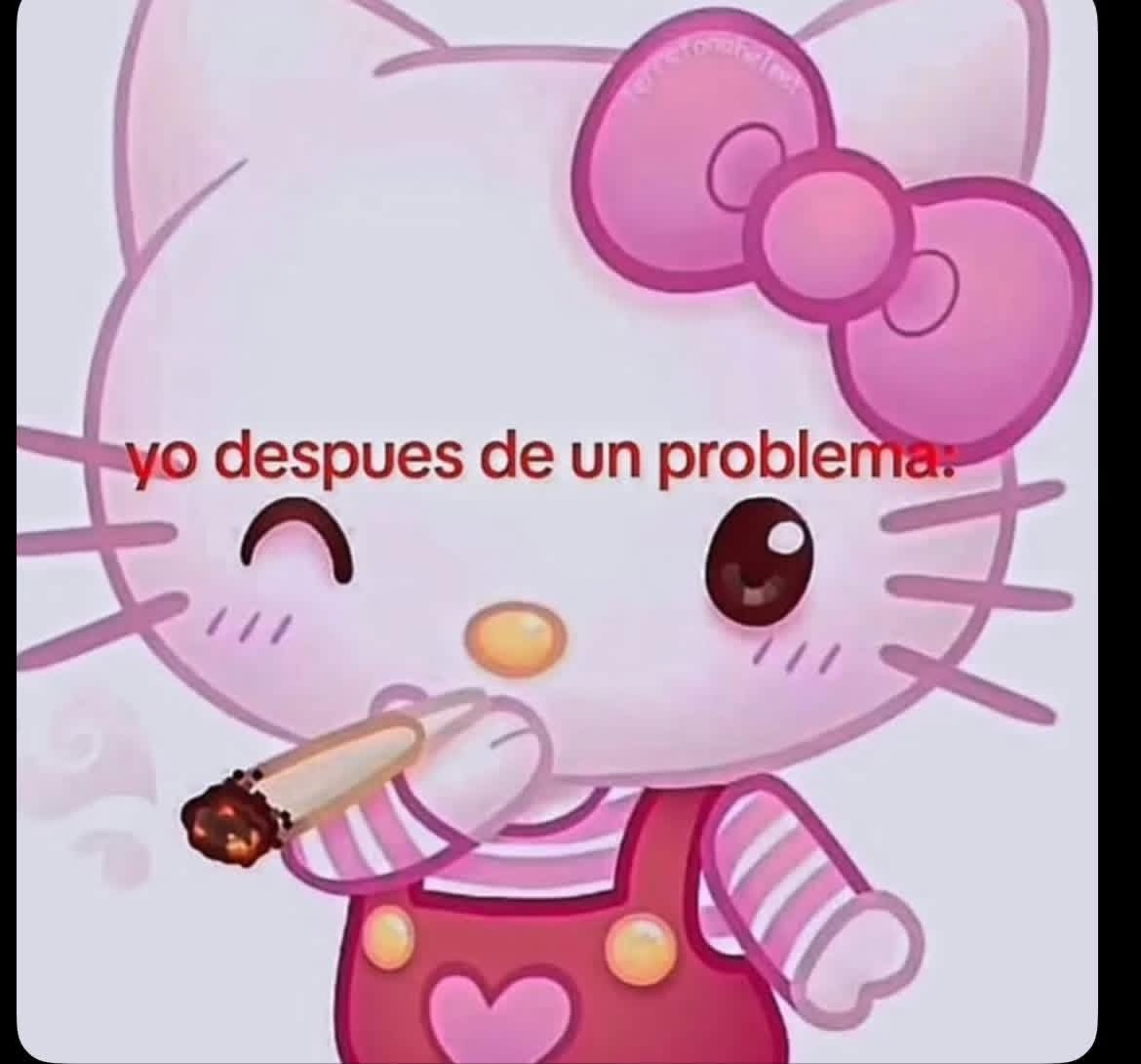 El Paragua Venenoso tweet media