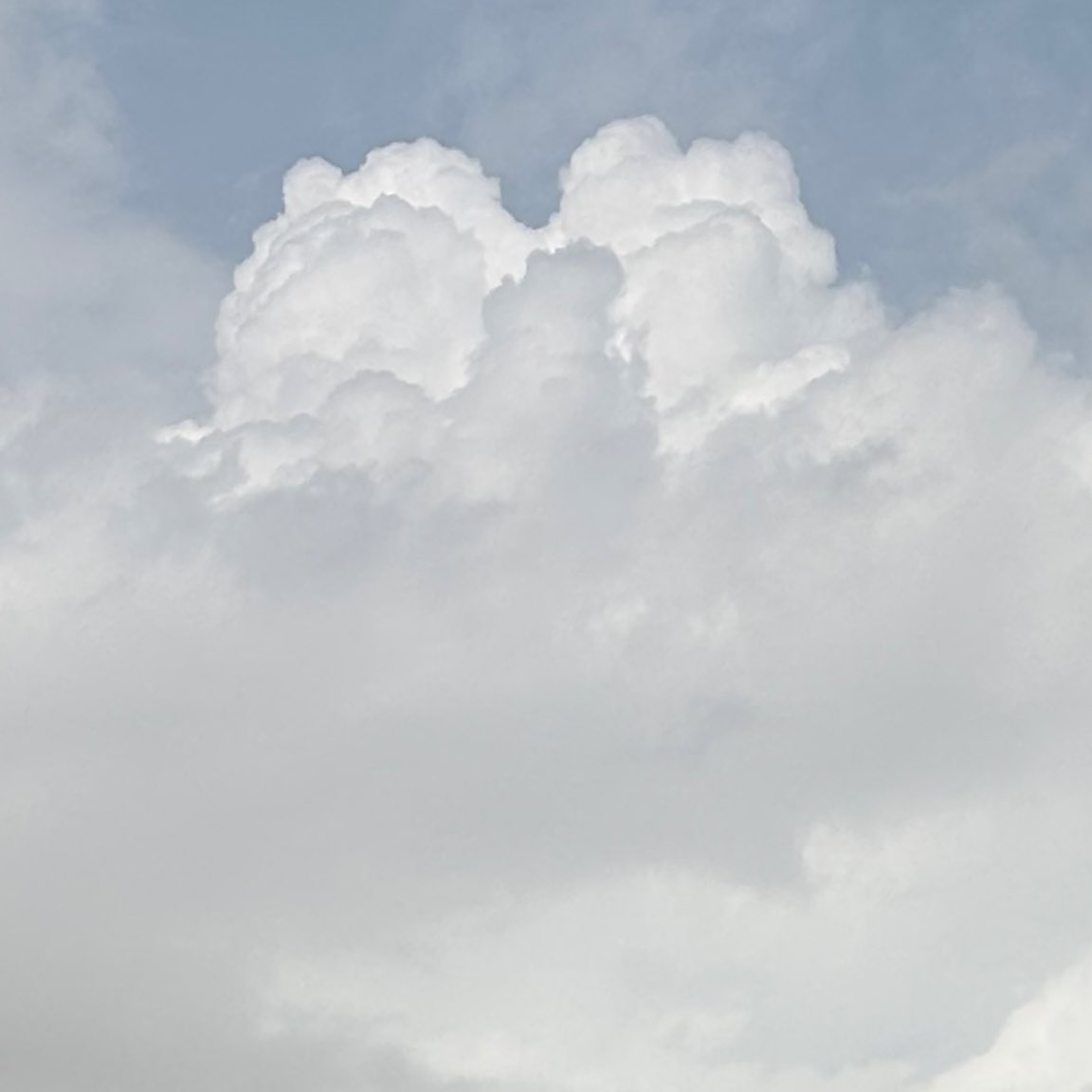 وجدان tweet media