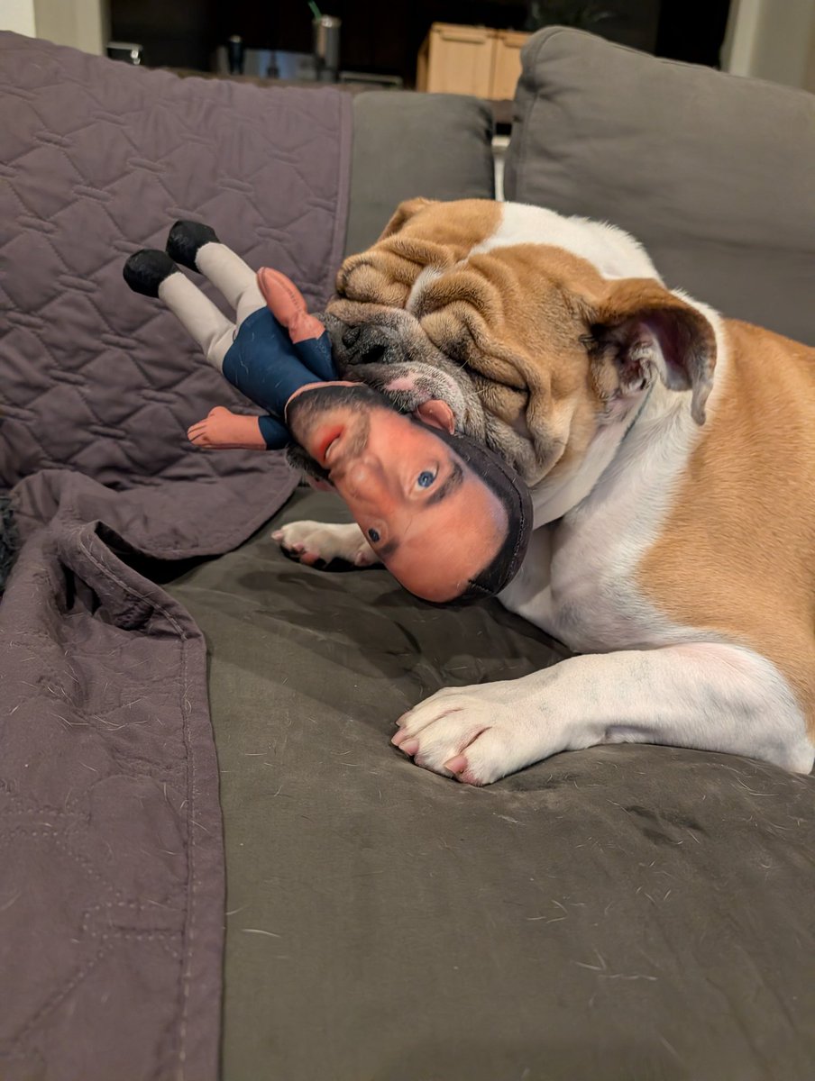 Raspulator's tweet photo. Mac likes to play rough with lil hanky @hen_ease @BarstoolBigCat @PardonMyTake https://t.co/bibjdq2GY0