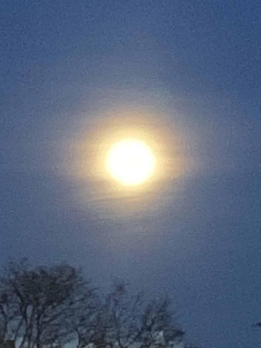 DublinIrishPup's tweet photo. Pals da #ibone doesnโt do da moon ๐ justice so cool ๐ค https://t.co/nDrrvOxOEL