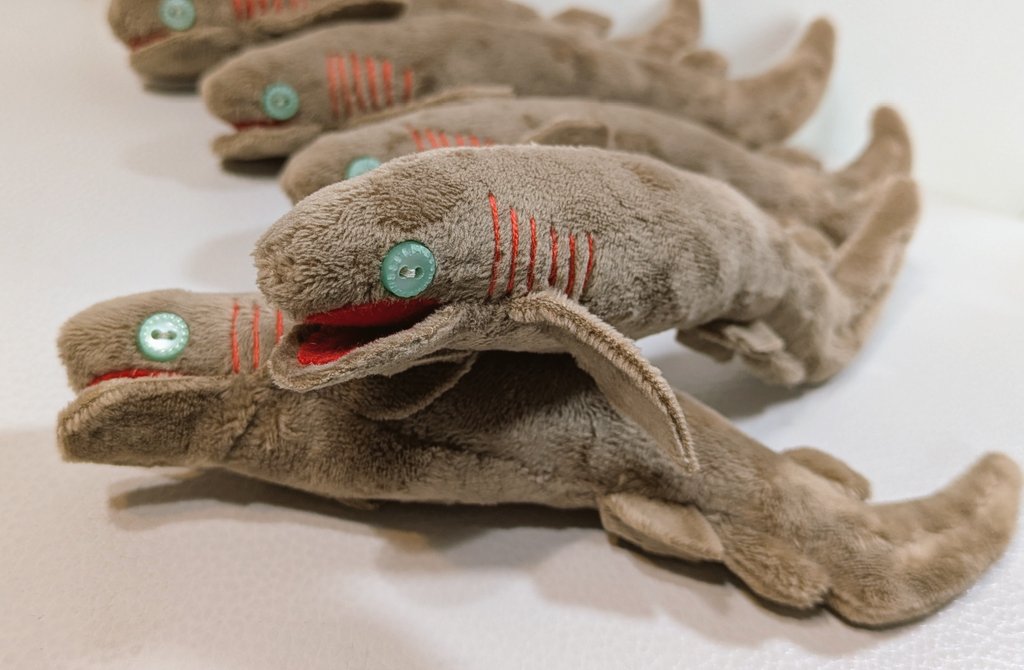 藁沢きき◇うみハマ5◇A-34 tweet media