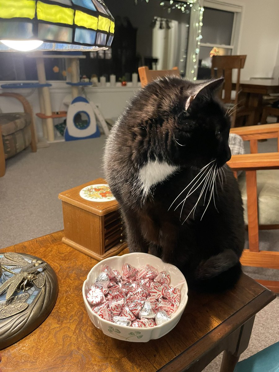 ok so ,,,,,, my inspectingy the her/she kiss’s ❗️